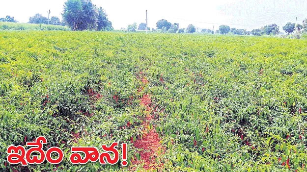 ఇదేం వాన!