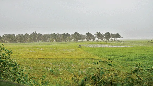 బీలకు మహర్దశ