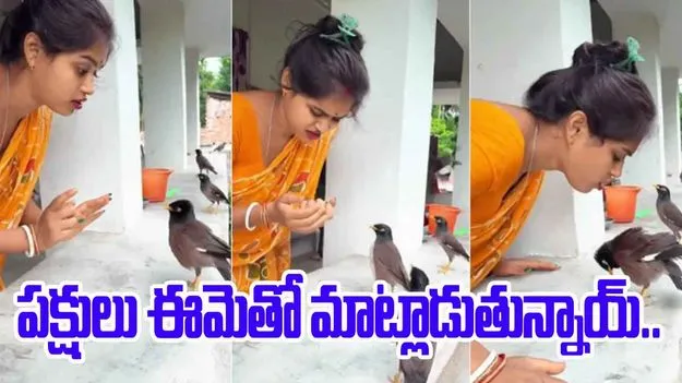 Birds talking to woman: పక్షులు ఈమెతో మాట్లాడుతున్నాయ్.. నెటిజన్లను ఆశ్చర్యపరుస్తున్న వీడియో..