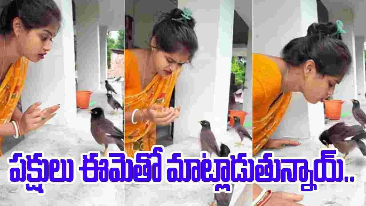 Birds talking to woman: పక్షులు ఈమెతో మాట్లాడుతున్నాయ్.. నెటిజన్లను ఆశ్చర్యపరుస్తున్న వీడియో..