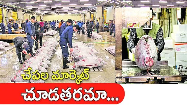 Fish: ప్రపంచంలో మరెక్కడా దొరకని అరుదైన చేపలు సైతం దొరికే మార్కెట్‌ అది..