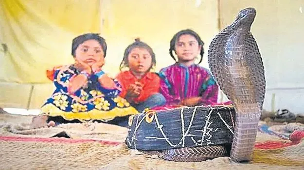 Snakes: ఊరుఊరంతా.. ఏళ్లకు ఏళ్లుగా.. సర్పాలతో సావాసం