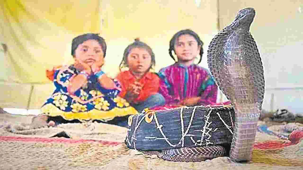 Snakes: ఊరుఊరంతా.. ఏళ్లకు ఏళ్లుగా.. సర్పాలతో సావాసం