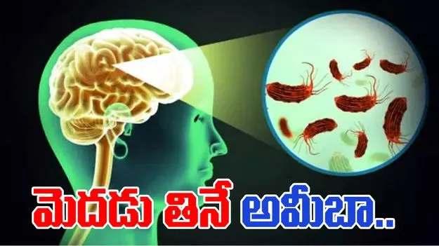 Thiruvananthapuram: కేరళలో మెదడు తినే అమీబా కలకలం