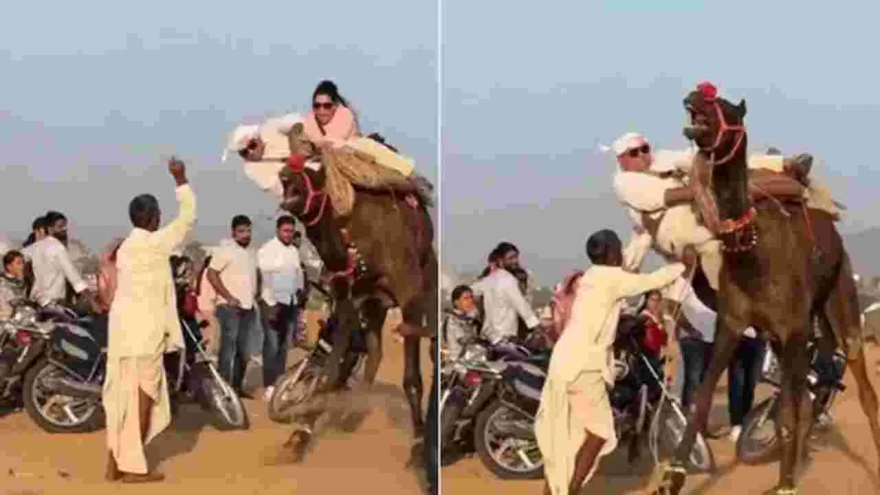 Camel ride gone wrong: ఒంటె మీద సవారీ మామూలు విషయం కాదు.. ఓ జంట పరిస్థితి ఏమైందో చూడండి..