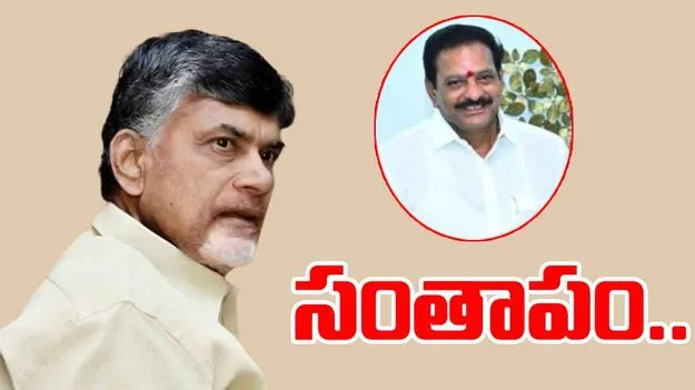 CM Chandrababu Naidu: సుబ్బానాయుడు మృతికి సీఎం చంద్రబాబు సంతాపం.. 