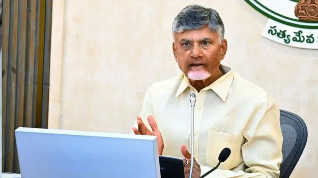CM Chandrababu Naidu: సీఎంను కలిసిన కేంద్ర బృందం.. తుఫాను నష్టంపై 