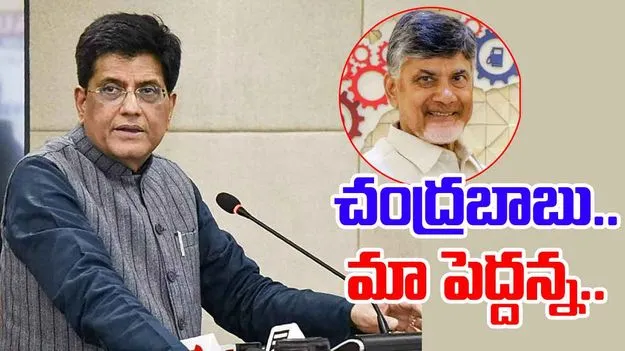 Central Minister Praises CM Chandrababu: సీఎం చంద్రబాబుపై కేంద్ర మంత్రి పీయూష్ ప్రశంసలు 