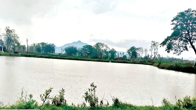 Protection for Lakes చెరువులకు రక్షణ
