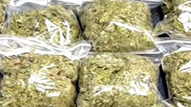 Hyderabad: ముందు సిమెంట్‌.. వెనుక గంజాయి