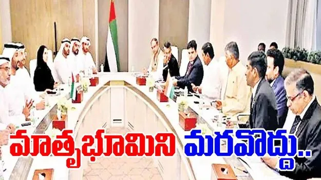 CM Chandrababu: పుట్టిన ఊరి రుణం తీర్చుకోవాలి..