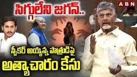CM Chandrababu Slams YSRCP: వైసీపీ అరాచకాలపై సీఎం చంద్రబాబు సంచలన ఆరోపణలు