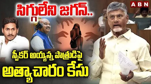 CM Chandrababu Slams YSRCP: వైసీపీ అరాచకాలపై సీఎం చంద్రబాబు సంచలన ఆరోపణలు
