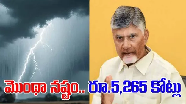 CM Chandrababu: మొంథా నష్టం 5,265 కోట్లు