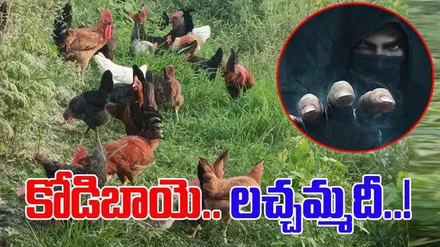 Anantapur: కోడిబాయె లచ్చమ్మదీ.. నాటు కోడిబాయే లచ్చమ్మదీ