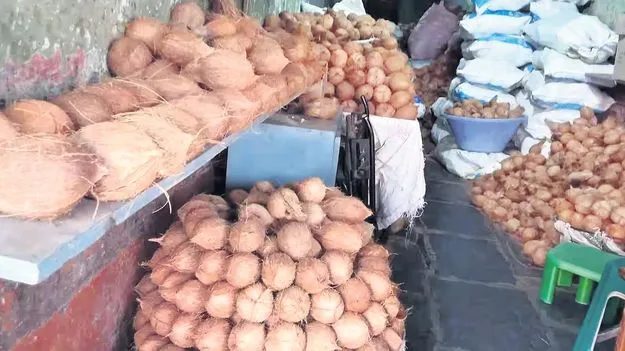 కొబ్బరికాయల ధరలకు రెక్కలు