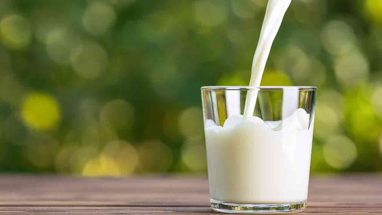 Homemade Paneer Recipe: స్వచ్ఛమైన పనీర్‌.. ఇంట్లో ఇలా ఈజీగా తయారు చేసుకోండి..!