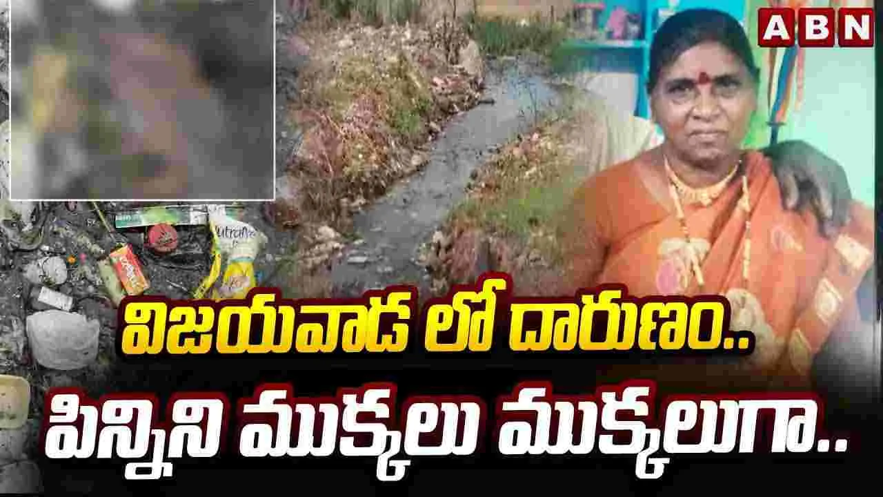 Vijayawda Incident: విజయవాడలో దారుణం.. పిన్నిని ముక్కలు ముక్కలుగా.. 