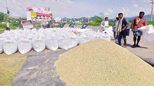 ధాన్యం కొనుగోలుకు రెడీ