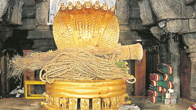 ధ్వజారోహణానికి చెల్లూరు దర్భ