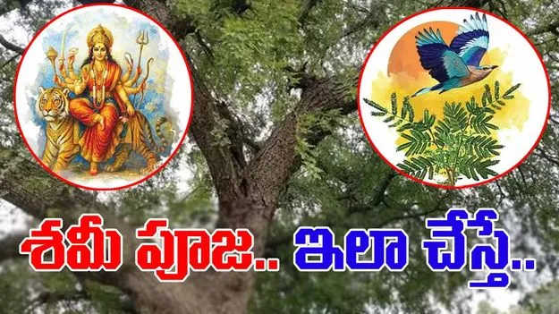 Significance of Shami Puja: శమీ పూజ వెనుక అసలు కథ ఇదే..