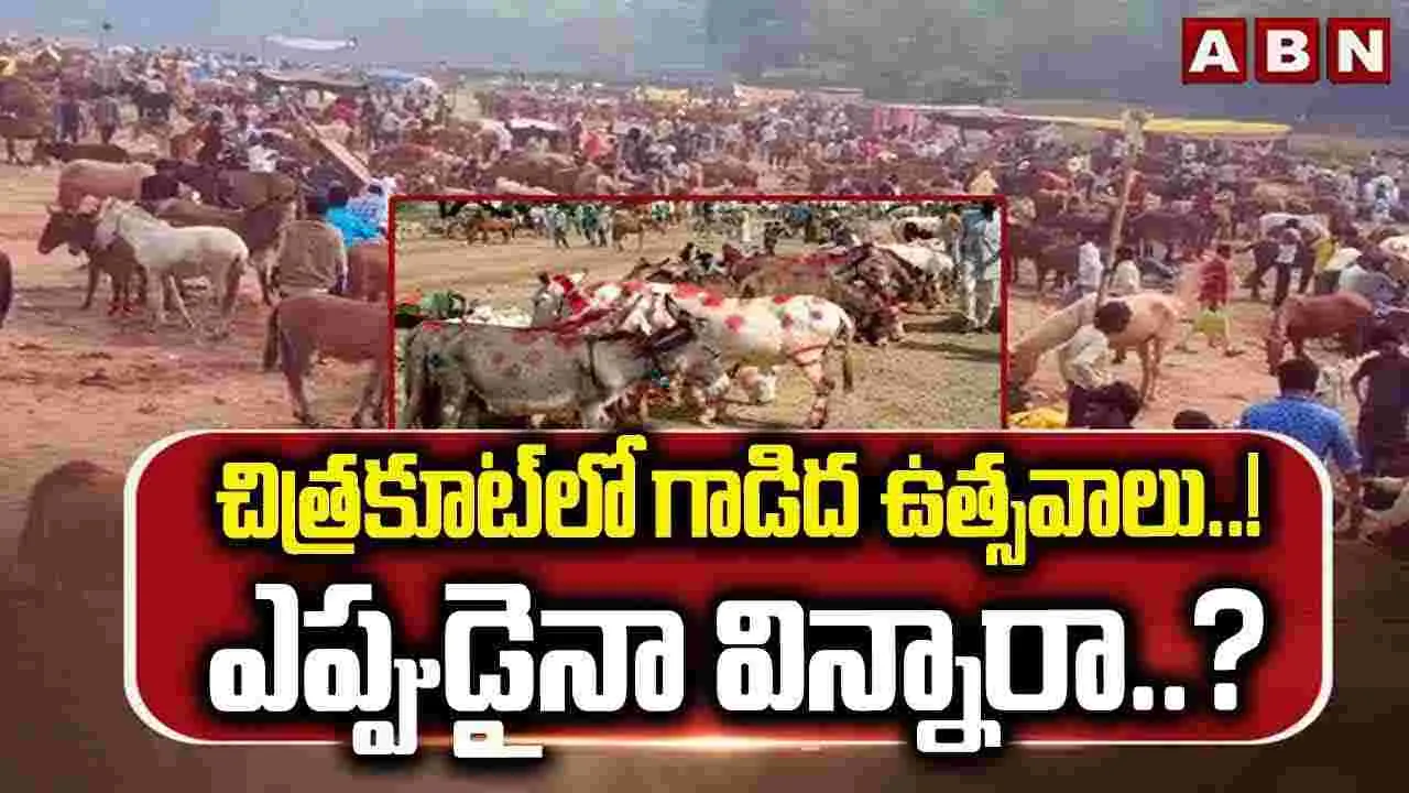 చిత్రకూట్‌లో గాడిద ఉత్సవాలు..! ఎప్పుడైనా విన్నారా..?