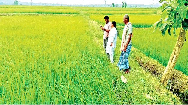  e-Crop ఈ-క్రాప్‌ నమోదుకు గడువు పెంపు