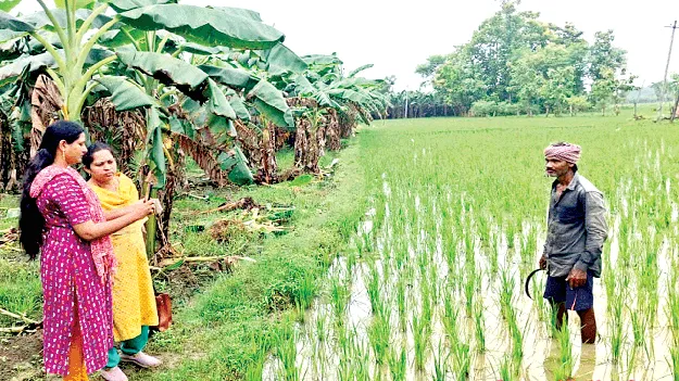  At a Snail’s Pace! నత్తనడకన!