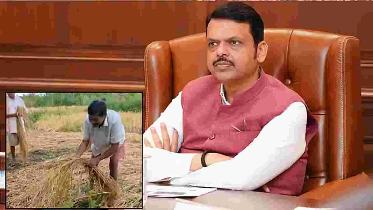 Maharashtra Farmer: లక్షన్నర రావాల్సింది..  రూ. 2 నష్ట పరిహారం.. కన్నీళ్లు పెట్టుకున్న రైతన్న!