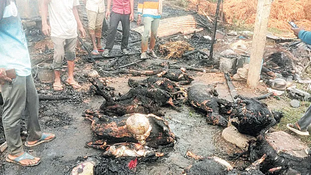 దోసకాయపల్లిలో ఘోర అగ్నిప్రమాదం