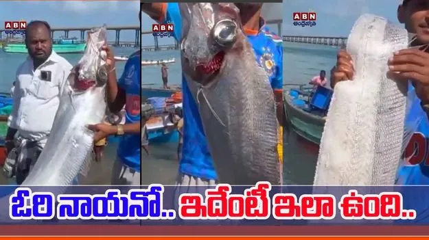 Doomsday Fish Video Viral: ఓరి నాయనో.. డూమ్స్‌డేని పట్టుకొచ్చారా.. వీడియో చూస్తే షాకవ్వాల్సిందే..