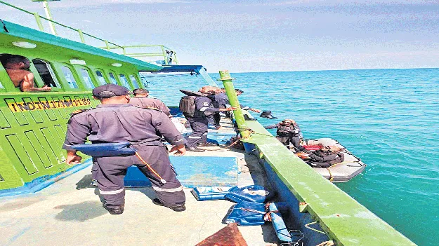 వస్తామనుకోలేదు..