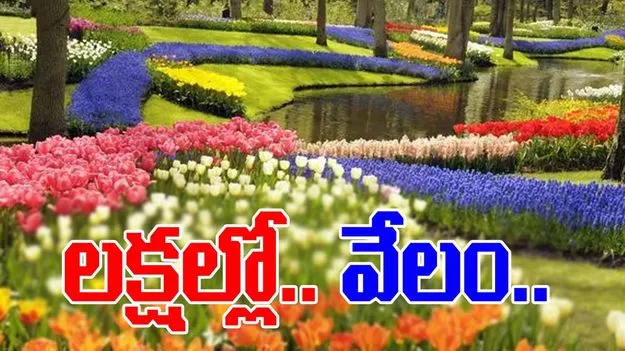 Flowers: ప్రపంచంలో మరెక్కడా దొరకని పూలు.. ఆ మార్కెట్‌లో..