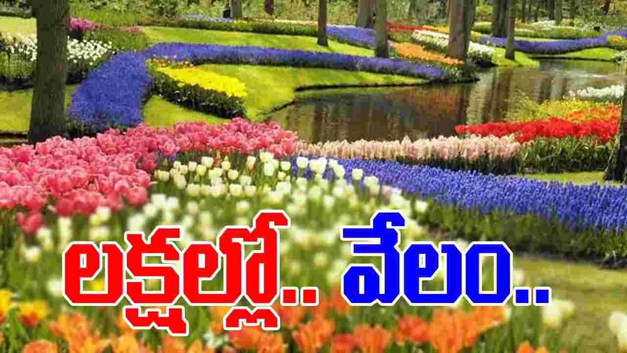 Flowers: ప్రపంచంలో మరెక్కడా దొరకని పూలు.. ఆ మార్కెట్‌లో..