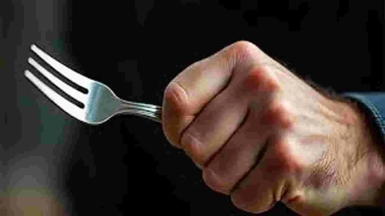 Student Attack In Flight: విమానంలో విద్యార్థి దాడి.. పలువురికి గాయాలు