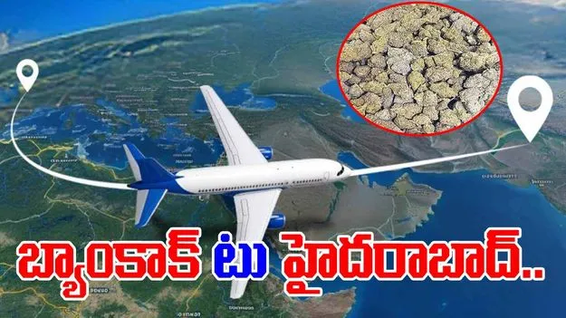 Drug Seizure: బ్యాంకాక్‌ టు హైదరాబాద్‌.. హైడ్రోపోనిక్‌ గంజాయి
