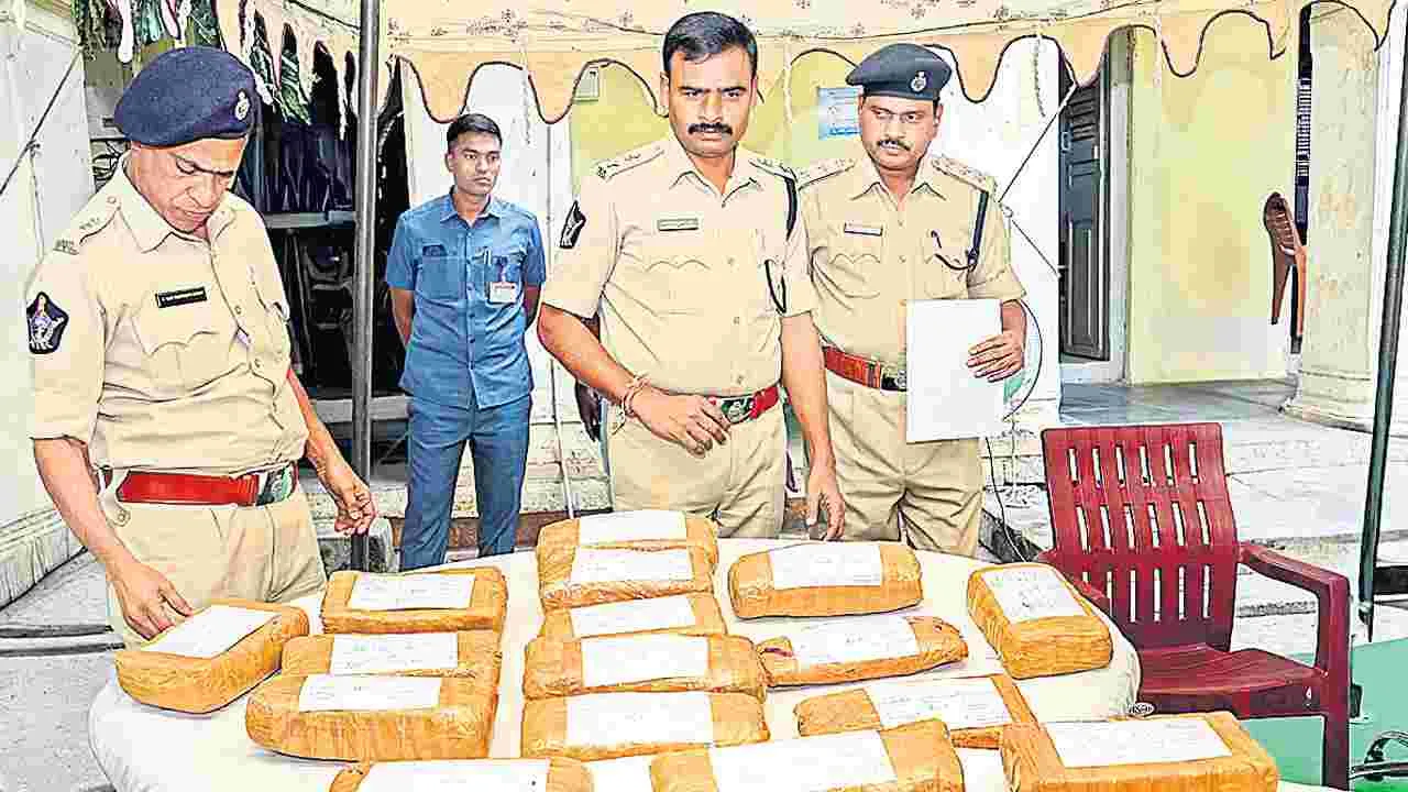 Transportation: ఒడిశా టూ శివకాశి