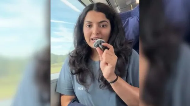 Germany-Indian: ఆ ఫైర్ లేదంటూ ఊస్టింగ్.. భారతీయురాలికి షాకిచ్చిన జర్మన్ కంపెనీ