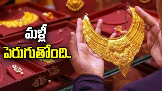 Gold Rates on Oct 26: బంగారం కొనాలనుకునే వారికి అలర్ట్.. పసిడి ధరల్లో మళ్లీ పెరుగుదుల