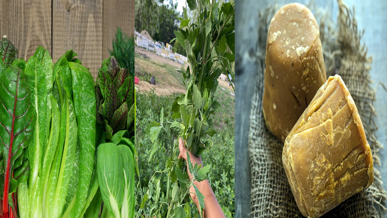 Health Tips: టీ తాగిన తర్వాత ఈ 6 ఆహార పదార్థాలు అస్సలు తినకండి.. 