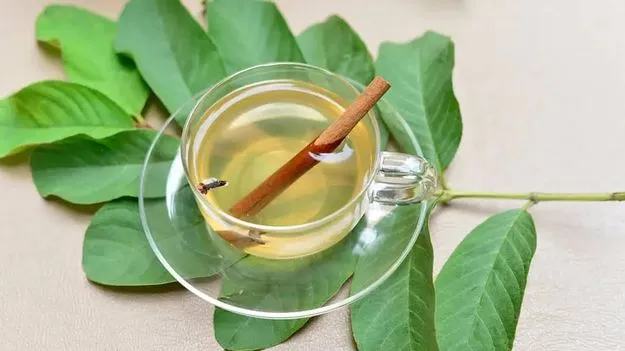 Guava Leaf Tea: జామ ఆకుల టీతో అద్భుత ఆరోగ్య ప్రయోజనాలు..