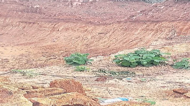 గుర్రంపాలెంలో  అక్రమ క్వారీయింగ్‌