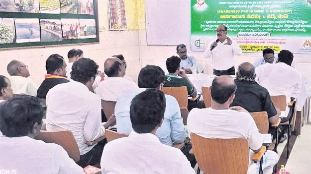 రూ.100కోట్లతో ఉద్యాన క్లస్టర్‌