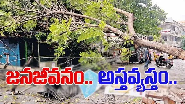 North Andhra Floods: వణికిన ఉత్తరాంధ్ర