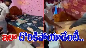 Viral Video: పాము కోసం పరుపు ఎత్తి చూడగా షాకింగ్ సీన్.. భార్య బండారం ఎలా బయటపడిందంటే..