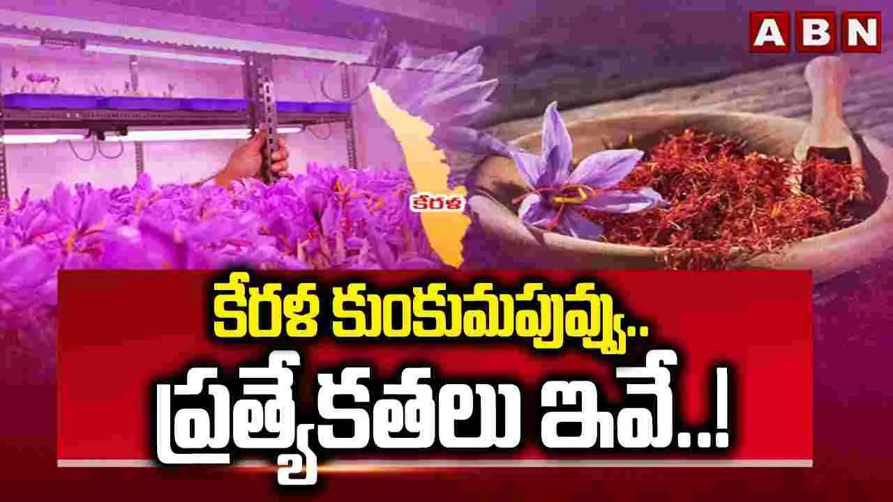 కేరళ కుంకుమపువ్వు ప్రత్యేకతలు ఇవే..!