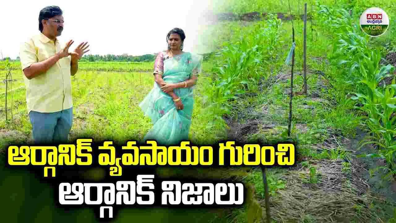 ABN Agri: ఆర్గానిక్ వ్యవసాయం గురించి కొన్ని నిజాలు 