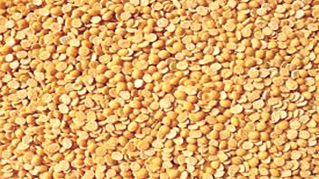  కందిపప్పు ఏదీ?