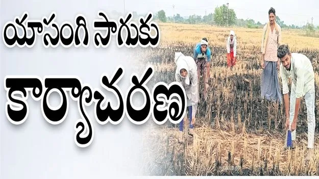 యాసంగి సాగుకు కార్యాచరణ