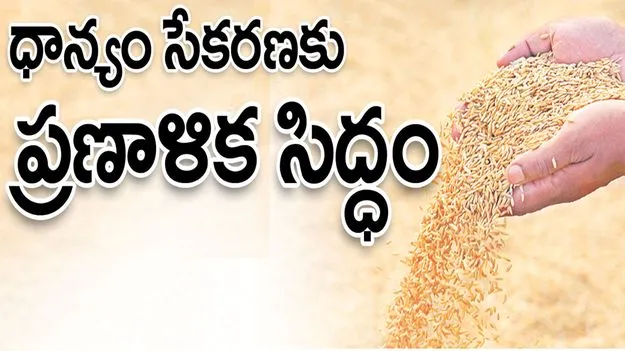ధాన్యం సేకరణకు ప్రణాళిక సిద్ధం